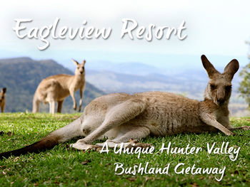 Eagleview Resort - Dalby Accommodation 45