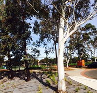Box Hill Studios at Canterbury Gardens - Dalby Accommodation