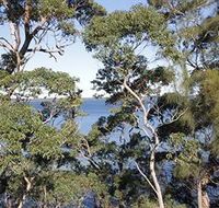 The Edgewater Bed amp Breakfast - Dalby Accommodation