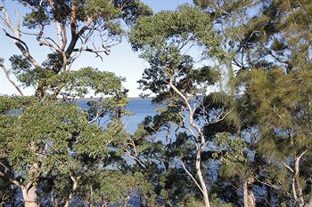 The Edgewater Bed & Breakfast - Dalby Accommodation 0