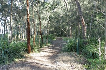 The Edgewater Bed & Breakfast - Dalby Accommodation 22