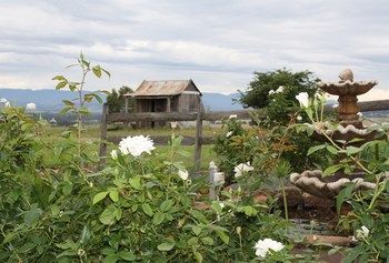 Strathearn Park Lodge - Dalby Accommodation 16