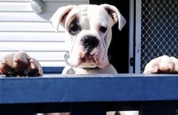 South Coast Retreat - Dalby Accommodation 20