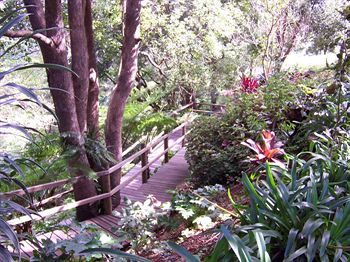 The Falls Montville - Dalby Accommodation 3