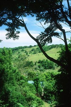 The Falls Montville - Dalby Accommodation 5