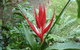The Falls Montville - thumb 10