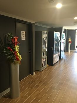 Ibis Budget Casula Liverpool - Dalby Accommodation 27