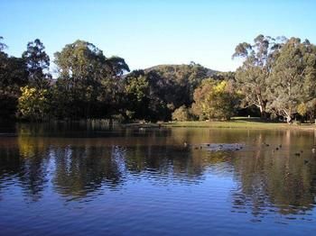 The Burrow At Wombat Bend - Dalby Accommodation 7