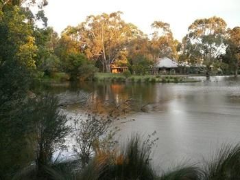 The Burrow At Wombat Bend - Dalby Accommodation 9