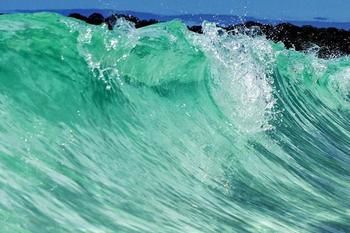 Bella Villas Of Jervis Bay - Dalby Accommodation 10