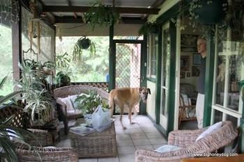 Hamilton Heritage B&B - Dalby Accommodation 2