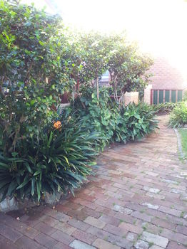 Hamilton Heritage B&B - Dalby Accommodation 14
