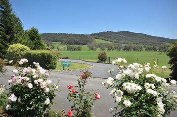 Langbrook Estate Cottages - Dalby Accommodation 15