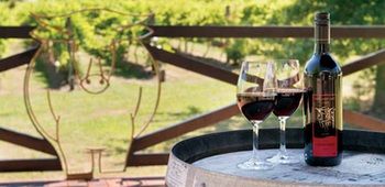 Wild Cattle Creek Estate - Dalby Accommodation 10