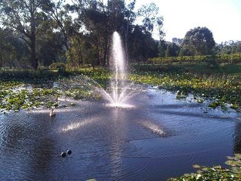 Wild Cattle Creek Estate - Dalby Accommodation 14