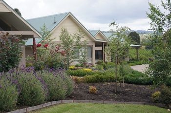 Wild Cattle Creek Estate - Dalby Accommodation 18