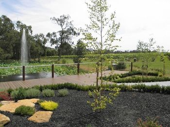 Wild Cattle Creek Estate - Dalby Accommodation 26