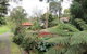 Cherryblossom B&B - thumb 2