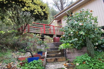 Cherryblossom B&B - Dalby Accommodation 12
