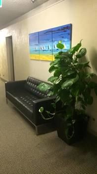 Parkhaven Motor Lodge Nowra - Dalby Accommodation 30