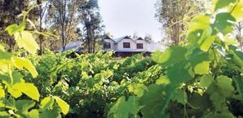 Spicers Vineyards Estate - Dalby Accommodation 3