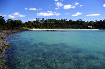 Bawley Bush Retreat And Cottages - Dalby Accommodation 36