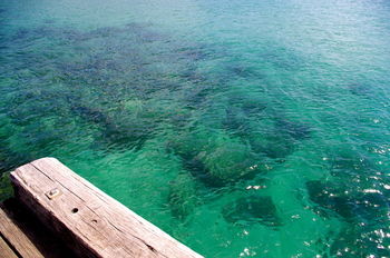 Bawley Bush Retreat And Cottages - Dalby Accommodation 39