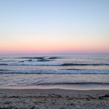 Bawley Bush Retreat And Cottages - Dalby Accommodation 40