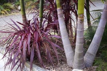 Bawley Bush Retreat And Cottages - Dalby Accommodation 42