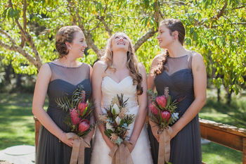 Bawley Bush Retreat And Cottages - Dalby Accommodation 55