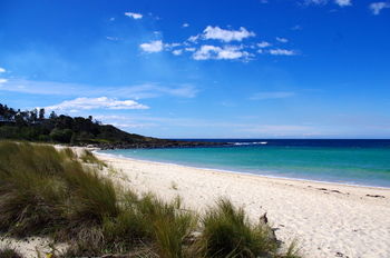 Bawley Bush Retreat And Cottages - Dalby Accommodation 58