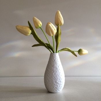 Chaucer Palms Boutique Bed & Breakfast - Dalby Accommodation 7