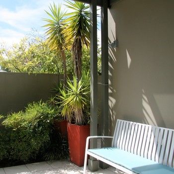 Chaucer Palms Boutique Bed & Breakfast - Dalby Accommodation 26
