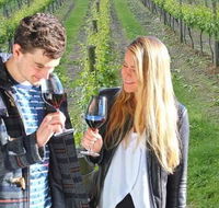 Valley Farm Vineyard Cottages - Dalby Accommodation