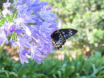 Amytis Gardens Retreat Spa And Cooking School - Dalby Accommodation 4