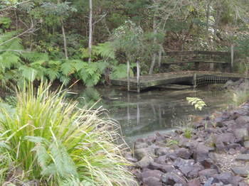 Montville Oceanview Cottages - Dalby Accommodation 5