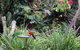 Montville Oceanview Cottages - thumb 9
