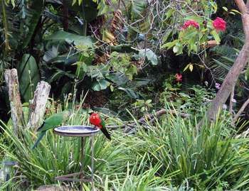 Montville Oceanview Cottages - Dalby Accommodation 9