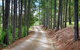Montville Oceanview Cottages - thumb 24