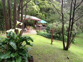 Stones Throw Cottage Bed & Breakfast - Dalby Accommodation 11