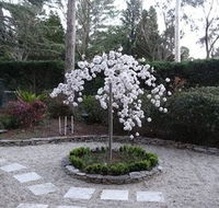 Corner Manor Leura - Dalby Accommodation