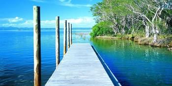 Orangewood At Peregian Beach - Dalby Accommodation 10