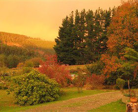 Lyrebird Cottage - Dalby Accommodation 3