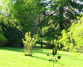 Lyrebird Cottage - Dalby Accommodation 5