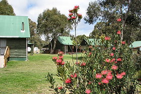 Derwent Bridge Chalets & Studios - Dalby Accommodation 0