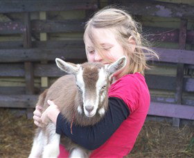 Eden Orchard And Farmstay - Dalby Accommodation 2