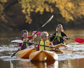 Swallows Nest Guesthouse - Dalby Accommodation 5