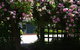 River House - The - thumb 5