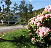 Zeehan Bush Camp  and Caravan Park - Dalby Accommodation