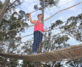 Gumleaves Bush Holidays - Dalby Accommodation 3